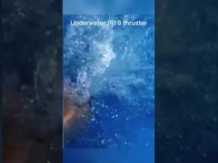 äußerer wasserdichter schwanzloser Motor 24V 36V des Rotor-BLDC Motorip65 mit Propeller