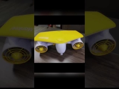 Wasserdichter schwanzloser Motor der hohen Leistung 2 Pferdestärken-elektrischer schwanzloser Motor für Wasser-Fahrzeug